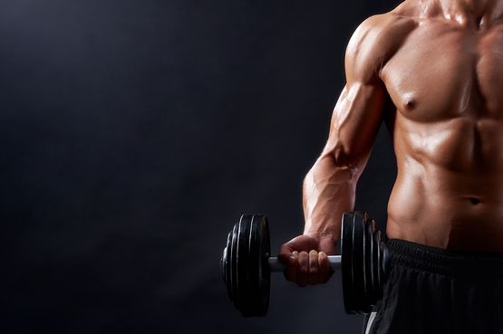 Synthol Steroid-Kurs Synthol Steroid-Kurs